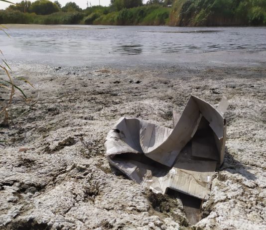 На Павлоградщине пересыхает крупнейшая река (ФОТО и ВИДЕО)