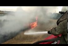 Павлоградцы решили сжечь максимальное количество сухостоя? (ВИДЕО)