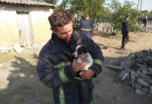 В Павлограде спасатели достали щенка из колодца (ВИДЕО)