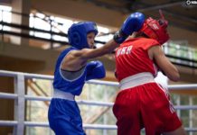 Юные павлоградки стали призерами чемпионата Украины по боксу