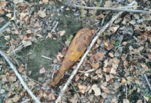 Возле Павлограда взорвали боеприпасы