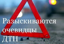На трассе под Павлоградом произошло смертельное ДТП: полиция ищет свидетелей