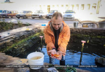 В фонтане Павлограда пятый год живут и нерестятся экзотические рыбки (ФОТОФАКТ)