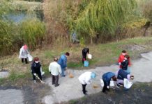 Павлоградців запрошують взяти участь у щорічній толоці