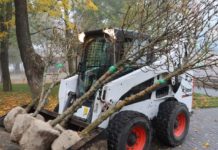 У Павлограді проведуть міську толоку: як долучитися