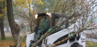 У Павлограді проведуть міську толоку: як долучитися