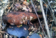 В Павлограде возле дач нашли старую мину