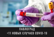 Более 600 павлоградцев лечатся от коронавируса