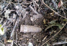 Опасная находка: во время прогулки павлоградец нашел боеприпасы