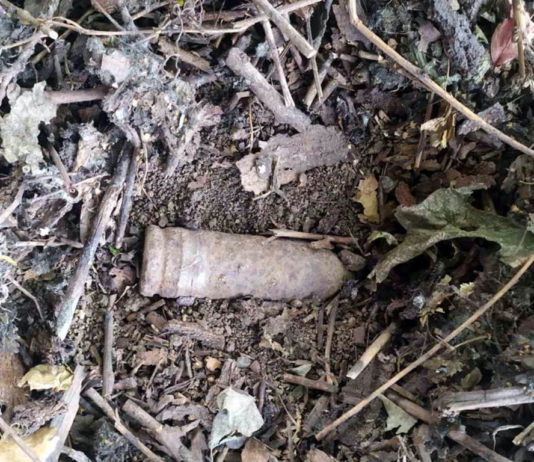 Опасная находка: во время прогулки павлоградец нашел боеприпасы