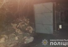 На Павлоградщине мужчина перевернулся на машине с незаконным грузом