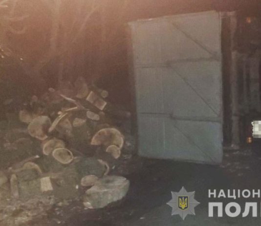 На Павлоградщине мужчина перевернулся на машине с незаконным грузом
