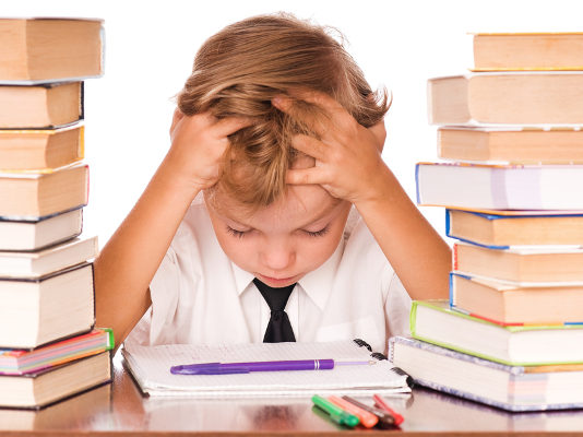 Каникулы отменяются: Минобразования не рекомендовало переносить зимние каникулы