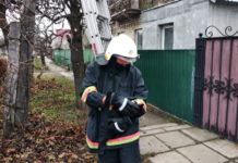 Не могла слезть: в Павлограде спасали кошку