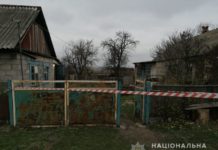 В Петропавловском районе мужчину зарубили топором