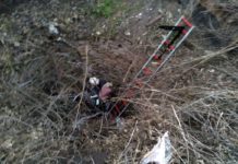 На Петропавловщине спасли собаку, которая упала в колодец (ВИДЕО)