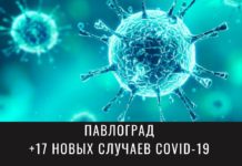 Две с половиной тысячи павлоградцев переболели коронавирусом