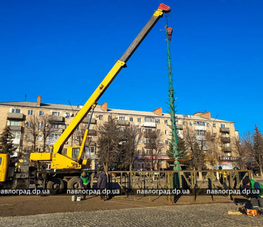 В Павлограде начали монтировать ёлку