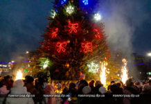 В Павлограде зажглись огни на главной ёлке города (ФОТО и ВИДЕО)