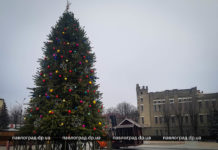 В Павлограде ёлка заняла свое место в центре площади