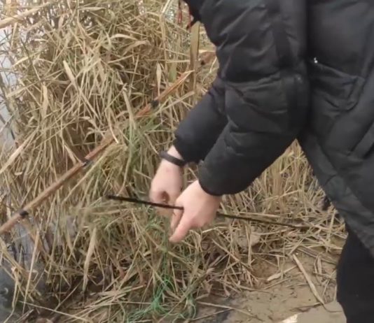 В Павлограде горе-рыбаки продолжают использовать запрещенные снасти (ВИДЕО)
