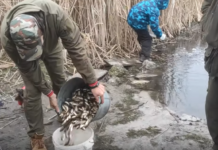 На Павлоградщине выпустили в реки полтонны мальков