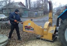 Дрова – в топку, опилки – в приют для животных: как в Павлограде утилизируют аварийные деревья