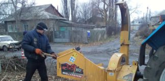 Дрова – в топку, опилки – в приют для животных: как в Павлограде утилизируют аварийные деревья