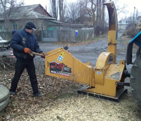 Дрова – в топку, опилки – в приют для животных: как в Павлограде утилизируют аварийные деревья