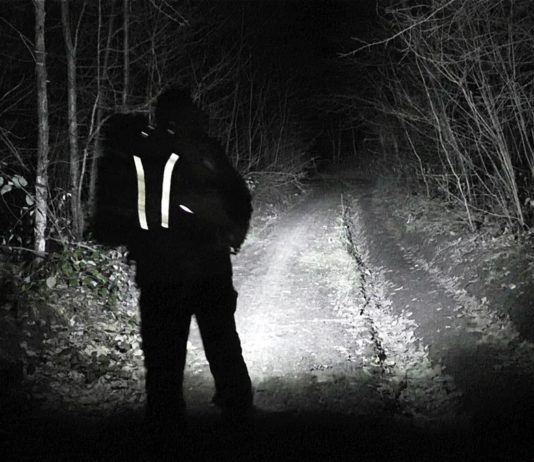 В павлоградском лесу едва не потерялся мужчина