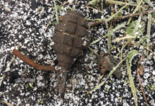 Возле Богдановки мужчина гулял с собакой и нашел гранату