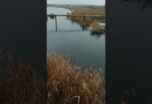 Драгоценная вода вытекает в реку: кто за это заплатит?