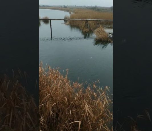 Драгоценная вода вытекает в реку: кто за это заплатит?