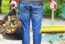 За кражу телефона терновчанину присудили общественные работы