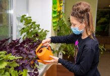 В реконструированной Юрьевской школе собрали коллекцию из сотен цветов (ФОТО)