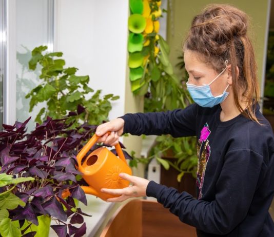 В реконструированной Юрьевской школе собрали коллекцию из сотен цветов (ФОТО)