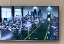 Китайские инвесторы хотят вложить в Павлоград 200 млн долларов