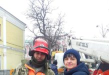 Несколько дней мяукал на верхушке дерева: коммунальщики снова спасли кота