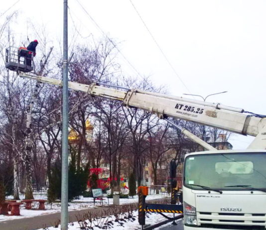 В Павлограде проводится обрезка деревьев: где планируются работы