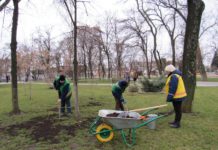 Павлоградский газон к весне будет без прогалин
