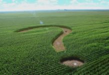 Вербківській громаді планують повернути земельну ділянку вартістю 22,6 млн грн