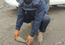 В Павлоградском районе обезвредили мину