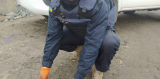 В Павлоградском районе обезвредили мину