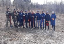 Павлоградские школьники помогли лесникам высадить новые деревья
