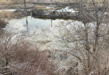 Возле Богдановки нечистоты сливают на поля