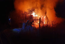 В Павлограде сгорел заброшенный дачный дом