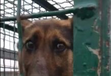 Жительница Сосновки обнаружила в погребе неожиданную находку