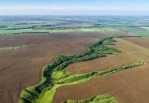 Чиновники незаконно передали в частные руки десятки гектар заповедных земель