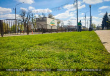 В центре Павлограда газона и заборов стало больше (ФОТОФАКТ)