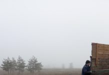 На месте лесного пожара в Павлограде высаживают новые деревья (ФОТО)